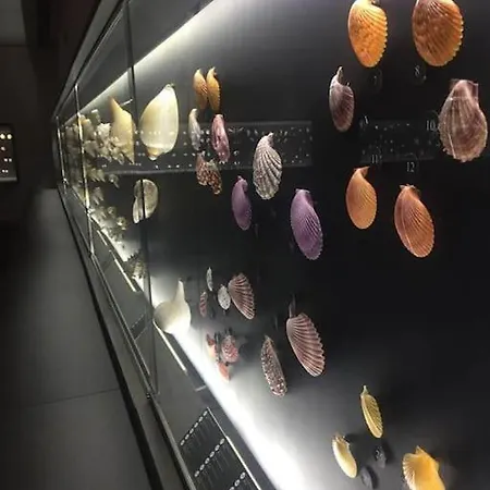 Apartament Lux 56 Da Aveiro A 20 Metros Da *