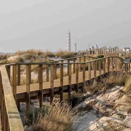 Apartament Lux 56 Da Aveiro A 20 Metros Da