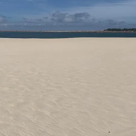 Lux 56 Da Aveiro A 20 Metros Da Apartament Barra