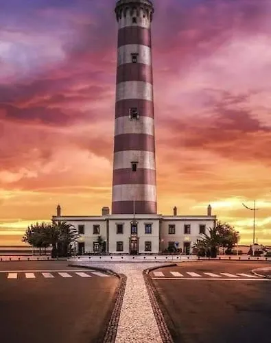 Lux 56 Da Aveiro A 20 Metros Da Apartamento *