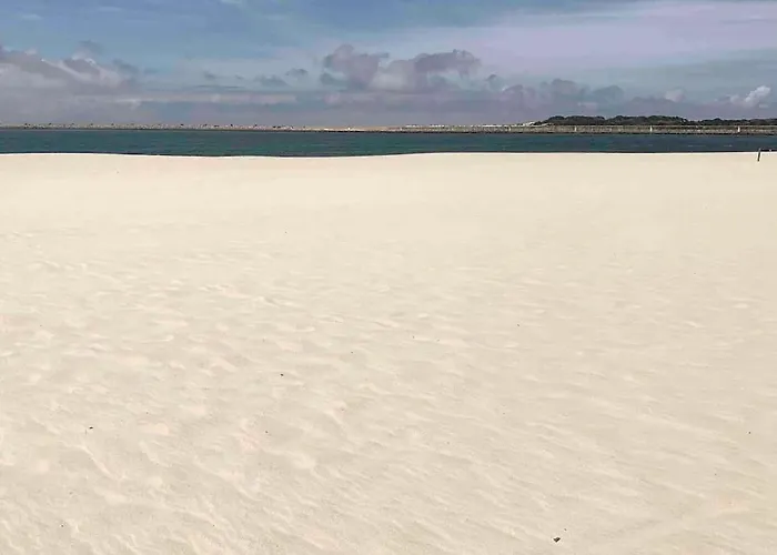 Lux 56 Da Aveiro A 20 Metros Da Apartamento Barra