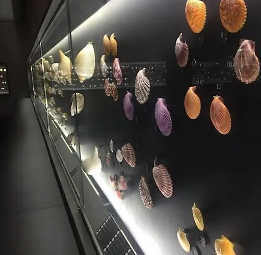 Apartamento Lux 56 Da Aveiro A 20 Metros Da *