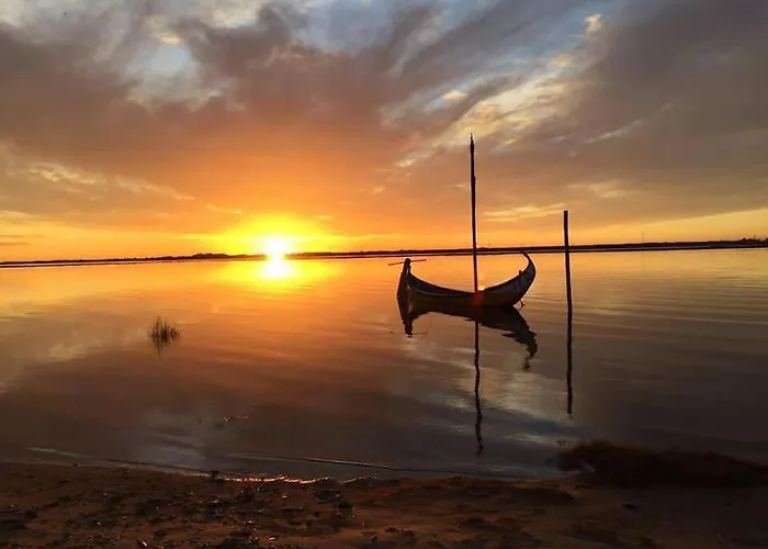 Lux 56 Da Aveiro A 20 Metros Da * Barra