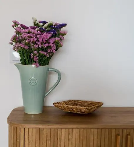 Lux 56 Da Aveiro A 20 Metros Da *