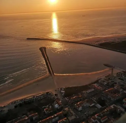 Lux 56 Da Aveiro A 20 Metros Da Apartamento *