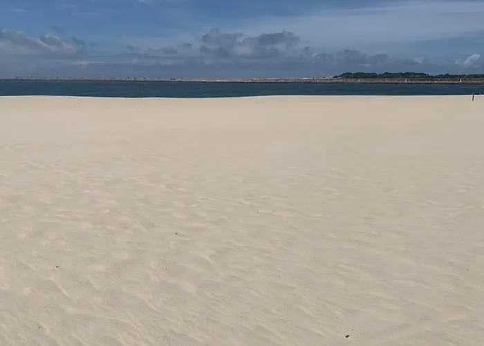 Lux 56 Da Aveiro A 20 Metros Da Apartamento Barra